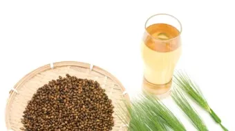 فوائد شراب الشعير