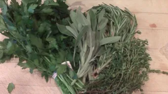 فوائد الأعشاب الطبية