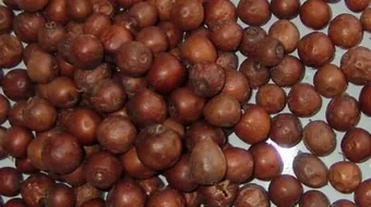 فوائد نبق السدر