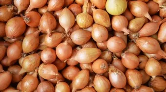 فوائد قشر البصل