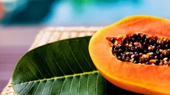 فوائد الباباز