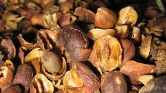 فوائد القشر للتنحيف