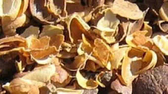 فوائد القشر للنفاس