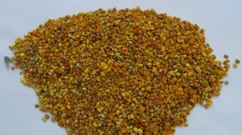 فوائد حبوب الطلع لزيادة الوزن