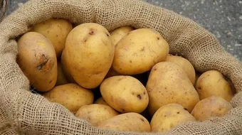 فوائد نشا البطاطس