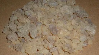 فوائد علك البستج