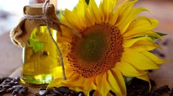 فوائد دوار الشمس