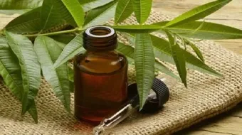 فوائد زيت الشاي