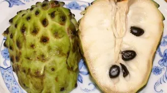 فوائد نبات القشطة