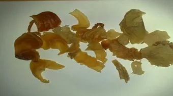 فوائد عشبة كثيرة