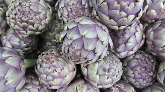 فوائد القرنون