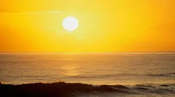 فوائد الشمس