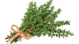 فوائد الزعتر للمعدة