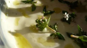 فوائد شراب الزعتر