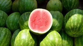 فوائد لب البطيخ