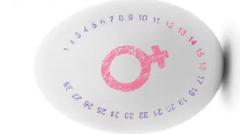 أفضل أيام لحدوث الحمل