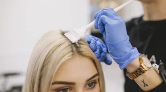 أفضل مملس شعر