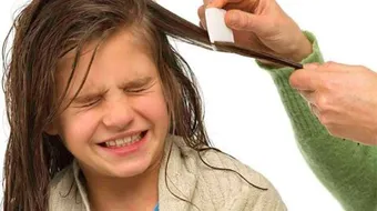 أفضل علاج للقضاء على القمل