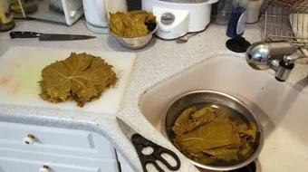 أفضل طريقة لحفظ ورق العنب