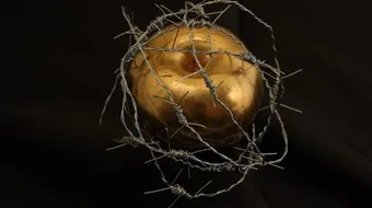 صفات سيدنا آدم عليه السلام