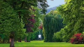 مدينة بادن بادن