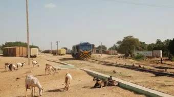 مدينة كوستي