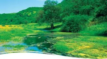 مدينة صلالة في سلطنة عمان