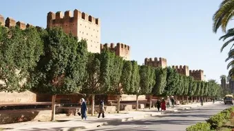 مدينة تارودانت