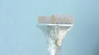 صناعة الفحم سريع الاشتعال