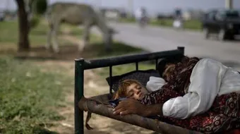 مفهوم التشرد وأسبابه