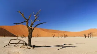 مفهوم الجفاف