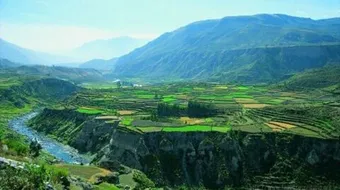 مفهوم الطبيعة و الثقافة