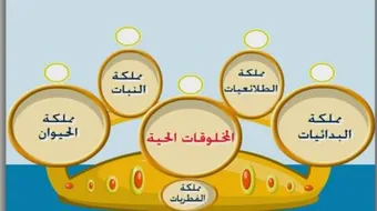 مفهوم علم التصنيف