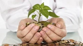 مفهوم الهيكل الشبكي