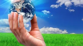 مفهوم البيئة التنظيمية