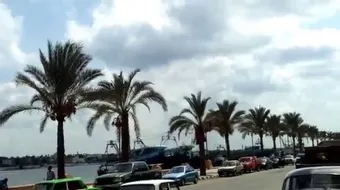 بلد المليون نخلة