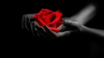 تعريف الحب في الإسلام