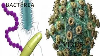 الفرق بين البكتيريا والفيروس