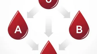 الفرق بين فصائل الدم