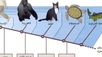 تنوع الكائنات الحية ومبادئ تصنيفها