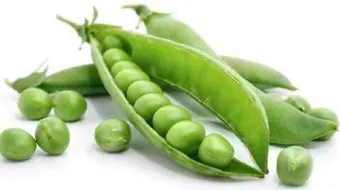 الصفات الوراثية السائدة والمتنحية