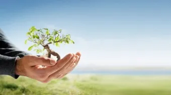 أبواب الصدقة في رمضان