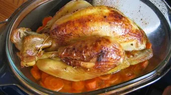 أسهل أطباق الدجاج