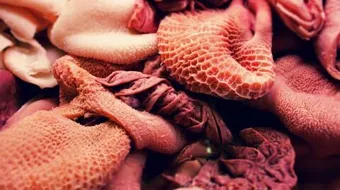 أسهل طريقة لتنظيف الكرشة