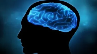 أثر نعمة العقل على الإنسان