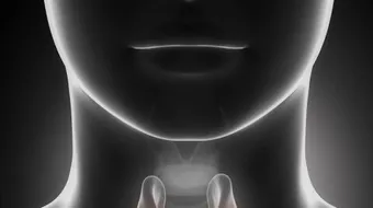 وظيفة هرمونات الغدة فوق كظرية