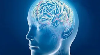 نشأة علم النفس