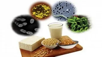 أهمية البكتيريا في الحياة