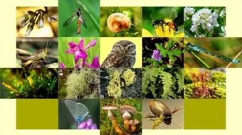 أهمية التنوع الحيوي