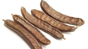 أهمية الخروب